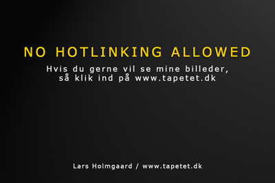 Undgå Hotlinking